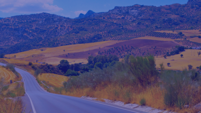 Benner-And-Presentación